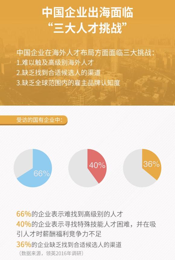 西峰最新招聘信息揭秘，小巷中的职业机遇等你来探索！