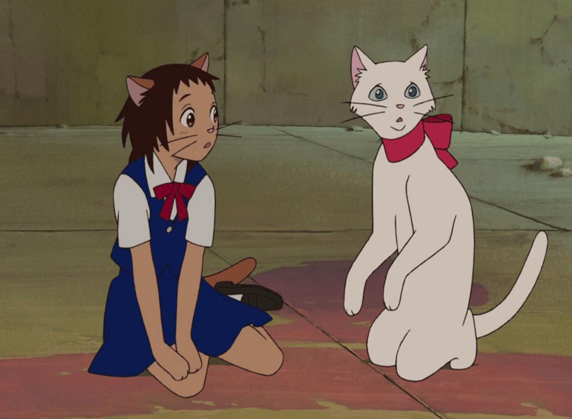 猫妃到朕碗里的最新更新及步骤指南